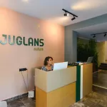 Juglans 费特希耶